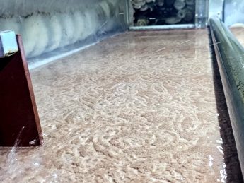 Adana Halı Yıkama | En İyi ve Profesyonel Temizlik Hizmeti